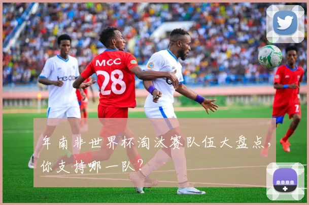 年南非世界杯淘汰赛队伍大盘点,你支持哪一队?