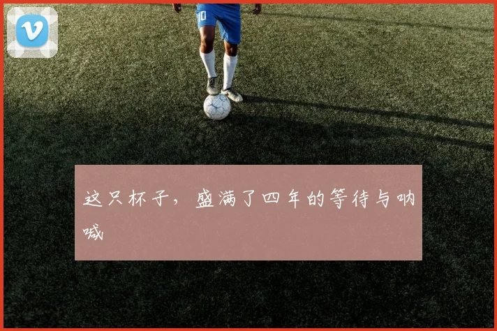 这只杯子，盛满了四年的等待与呐喊