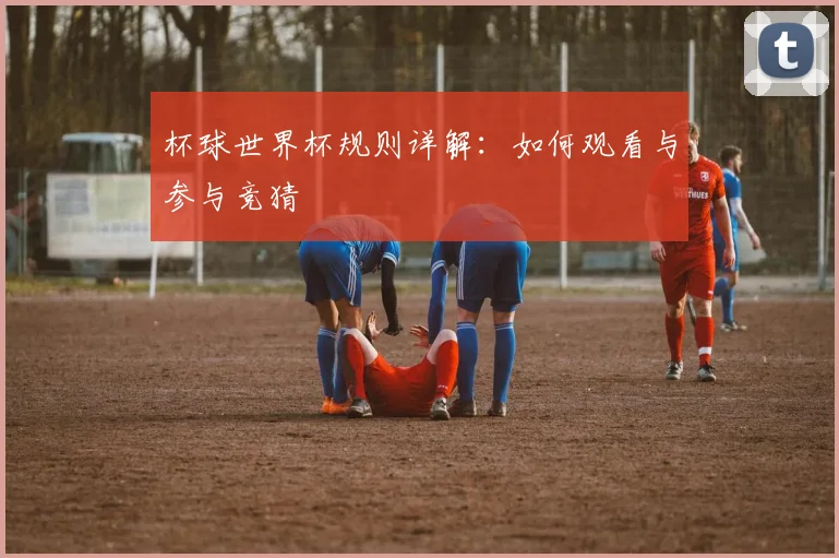 杯球世界杯规则详解：如何观看与参与竞猜