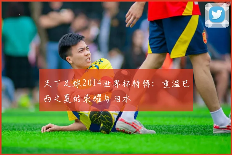天下足球2014世界杯特辑：重温巴西之夏的荣耀与泪水