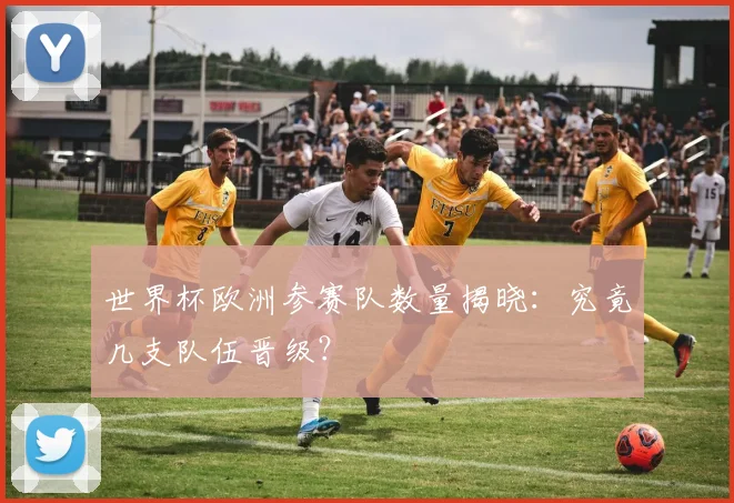 世界杯欧洲参赛队数量揭晓:究竟几支队伍晋级?