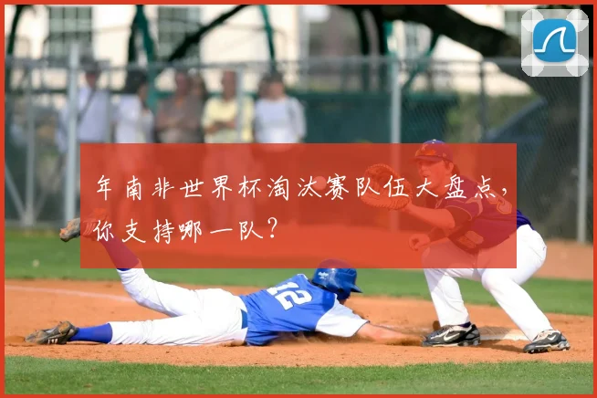 年南非世界杯淘汰赛队伍大盘点,你支持哪一队?