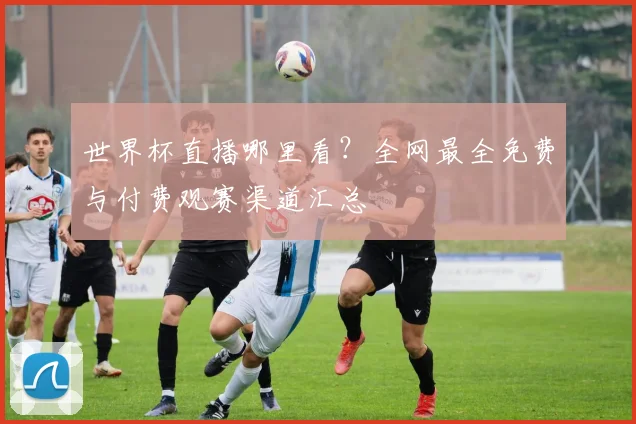 世界杯直播哪里看？全网最全免费与付费观赛渠道汇总