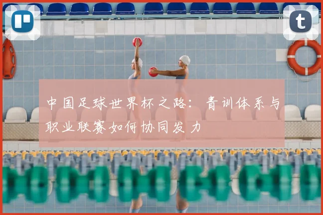 中国足球世界杯之路：青训体系与职业联赛如何协同发力