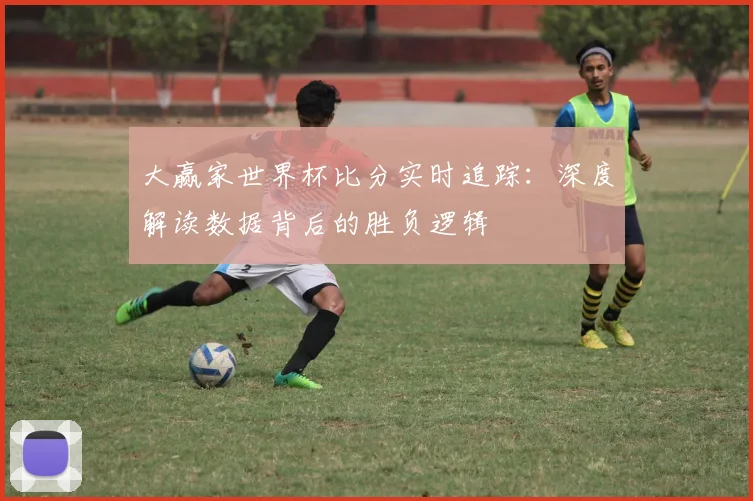 大赢家世界杯比分实时追踪：深度解读数据背后的胜负逻辑