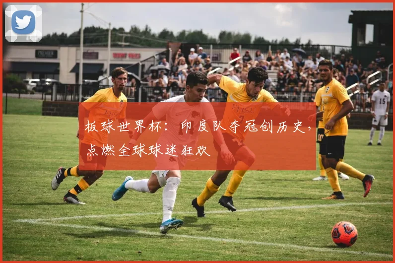 板球世界杯：印度队夺冠创历史，点燃全球球迷狂欢