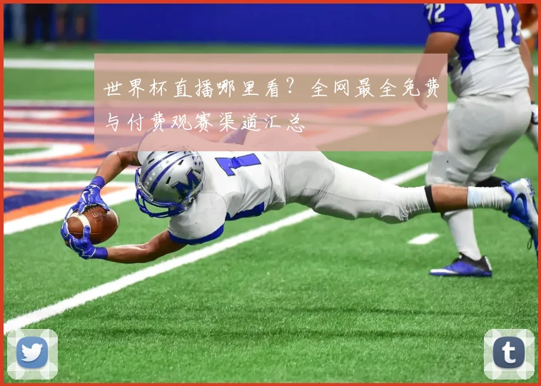 世界杯直播哪里看?全网最全免费与付费观赛渠道汇总